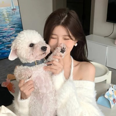 你的情歌